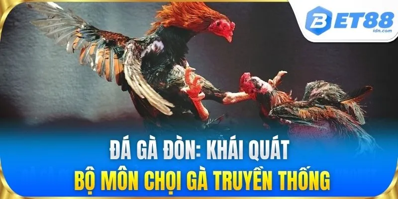 Đá gà đòn: Khái quát bộ môn chọi gà truyền thống