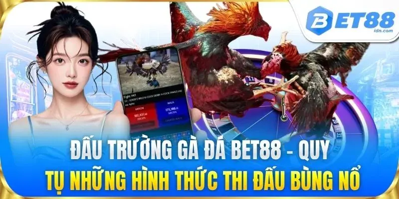 Đấu trường gà đá BET88 – Quy tụ những hình thức thi đấu bùng nổ