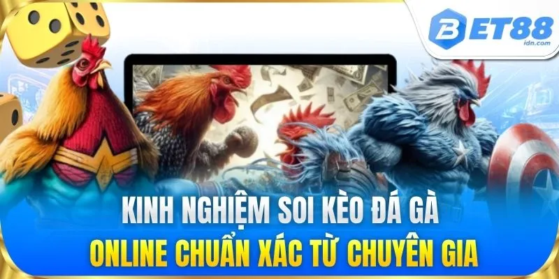 Kinh nghiệm soi kèo đá gà online chuẩn xác từ chuyên gia